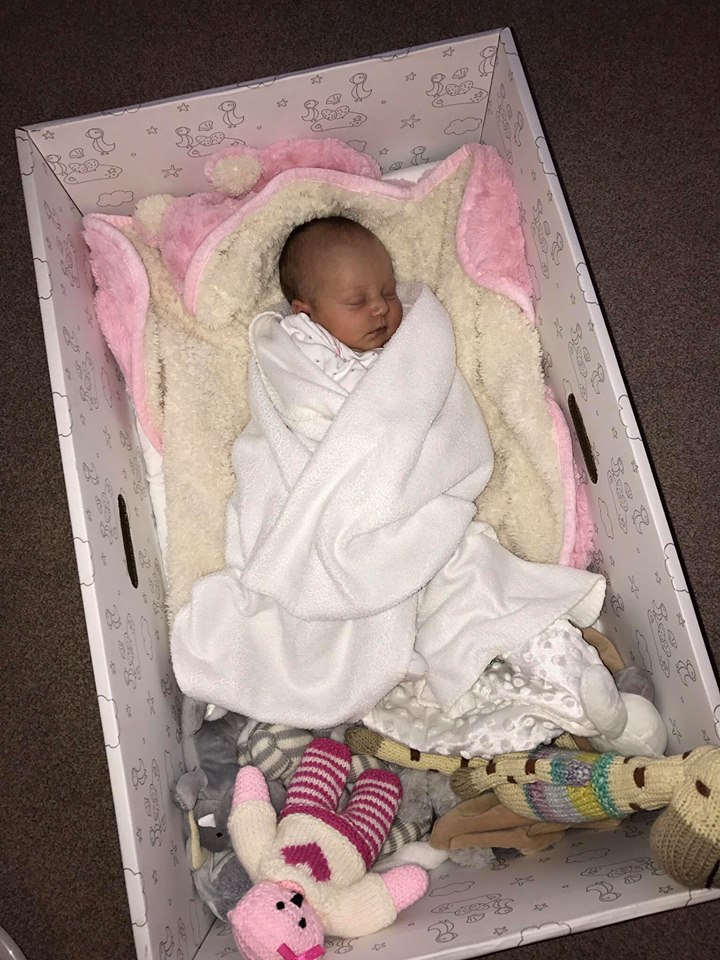 Photo of a newborn baby sleeping in the baby box 