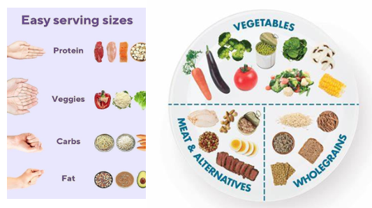 Portion Sizes